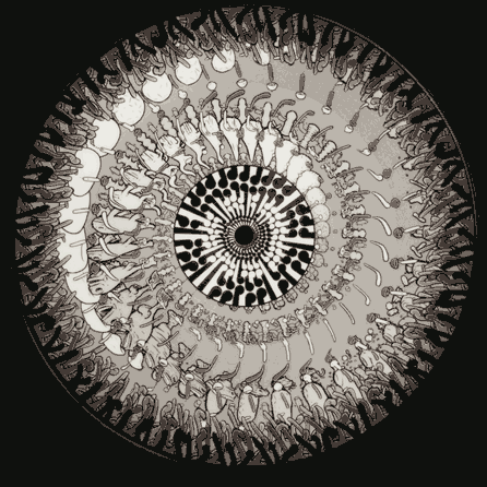 Effect no dither (1)