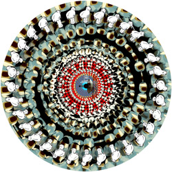 sculpture toad blinker dekorder picture disc